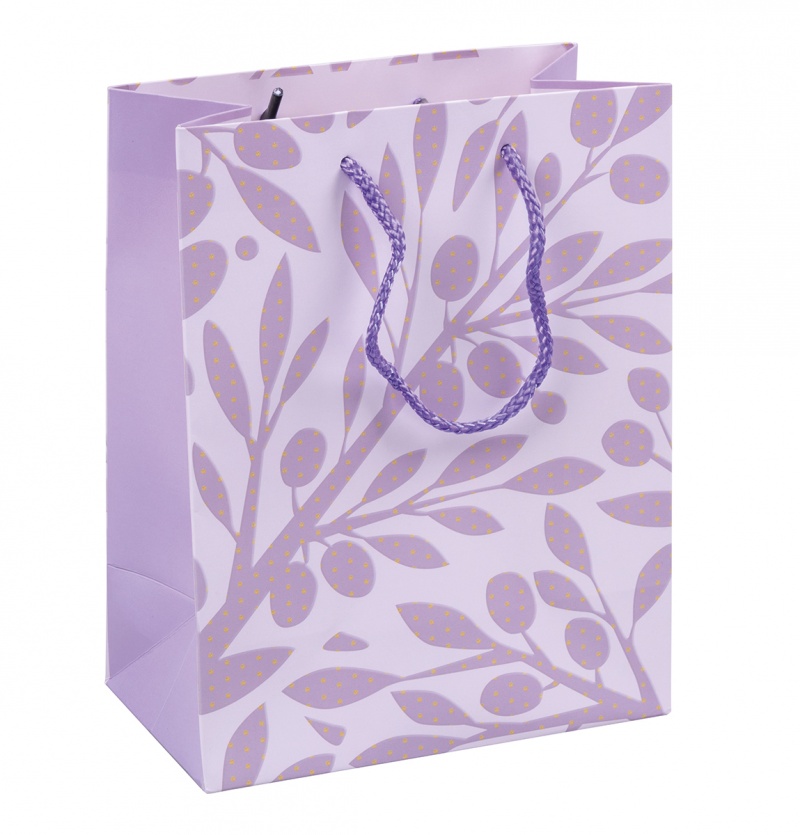 Torebka na prezenty DONAU HOME, laminowana, 18x23x10cm, całoroczna, sznurek, mix wzorów