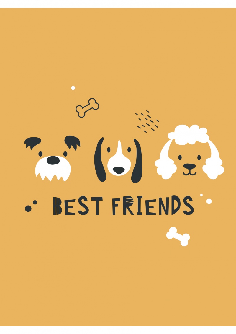 Zeszyt szkolny GIMBOO, A5, w 3 linie, 16 kart., 70gsm, mix wzorów