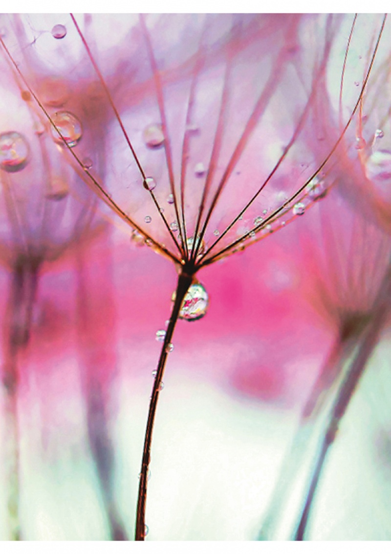 Zeszyt szkolny GIMBOO, A5, w linie, 60 kart., 70gsm, mix wzorów