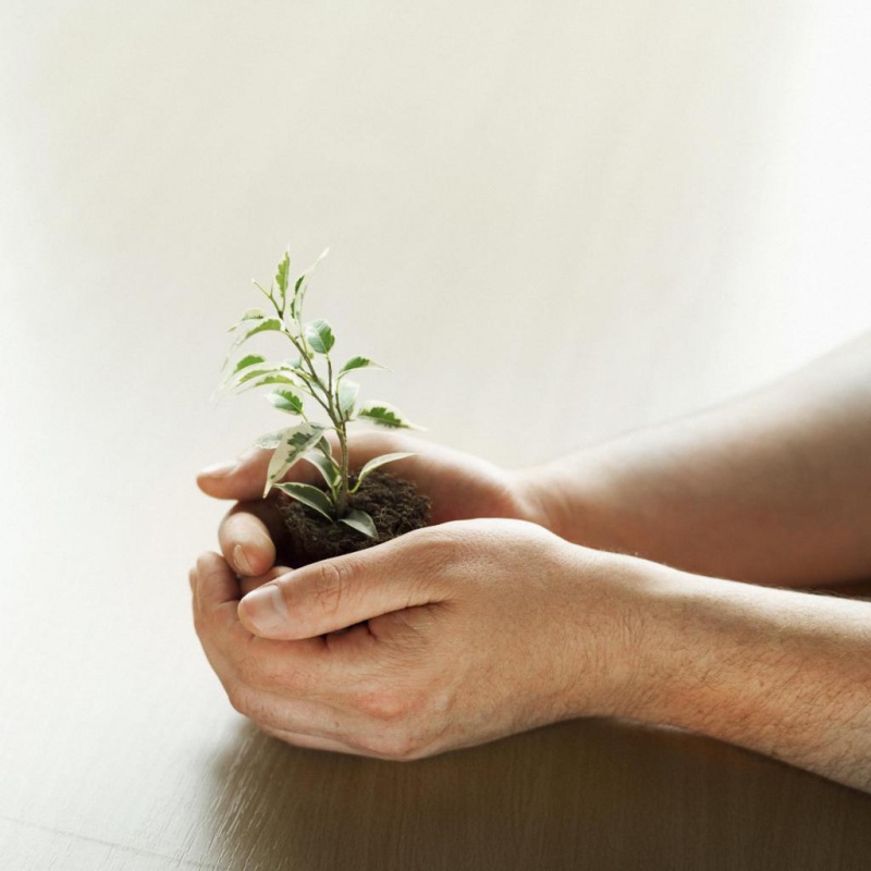 Bloczek samoprzylepny ekologiczny POST-IT® (653-1T), 38x51mm, 24x100 kart., żółty