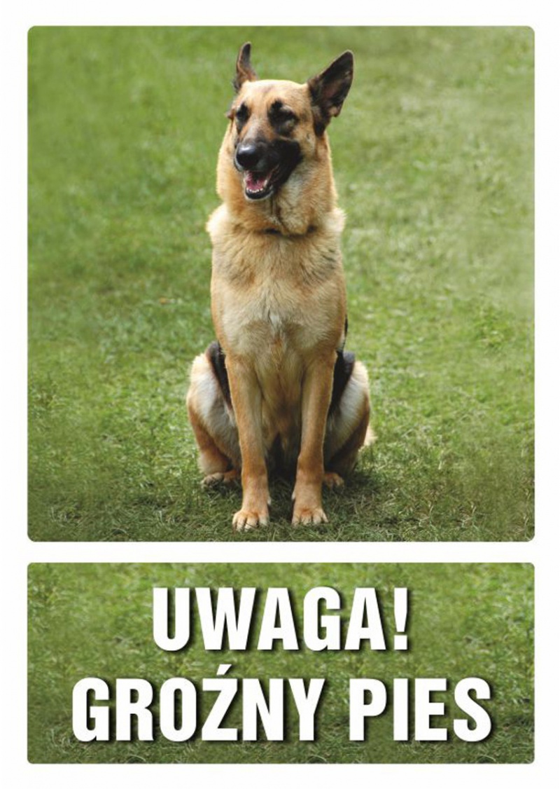 Znak TDC, Uwaga groźny pies