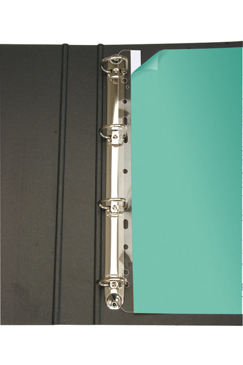 Listwa samoprzylepna Q-CONNECT, do archiwizacji, A4, 295mm, 10szt., transpatrentna