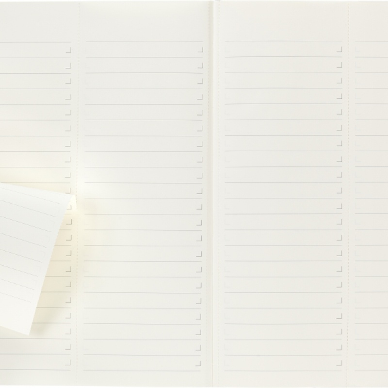 Notes MOLESKINE PROFESSIONAL A4 (21x29,7 cm), miękka oprawa, 192 strony, czarny