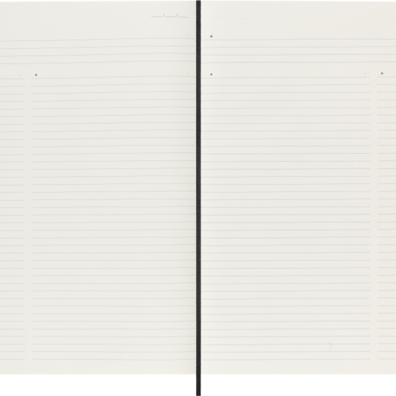 Notes MOLESKINE PROFESSIONAL A4 (21x29,7 cm), miękka oprawa, 192 strony, czarny