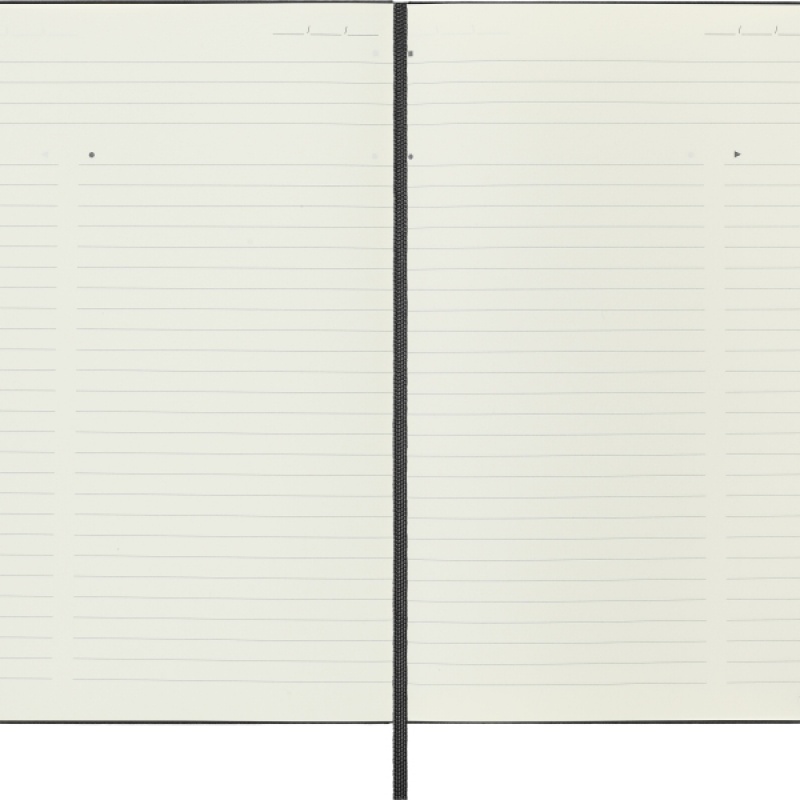 Notes MOLESKINE PROFESSIONAL L (13x21 cm), twarda oprawa, 240 stron, czarny