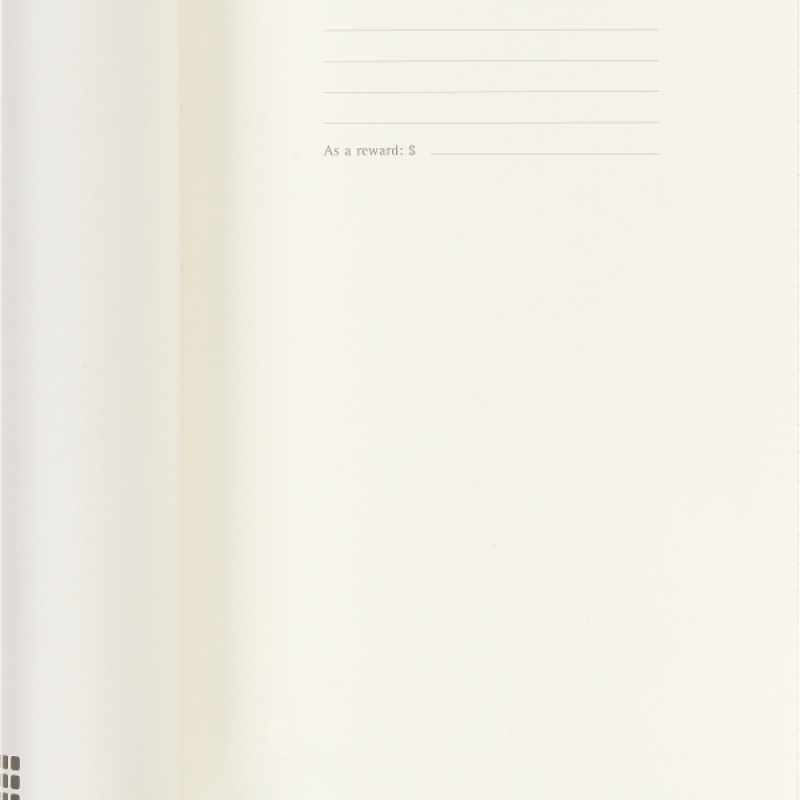 Notes MOLESKINE PROFESSIONAL L (13x21 cm), miękka oprawa, 192 strony, czarny