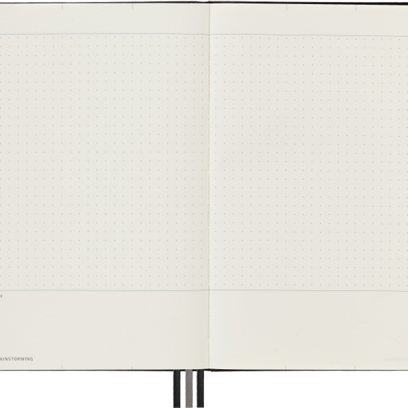 Notes MOLESKINE PRO Project Planner L (13x21 cm) twarda oprawa, czarny