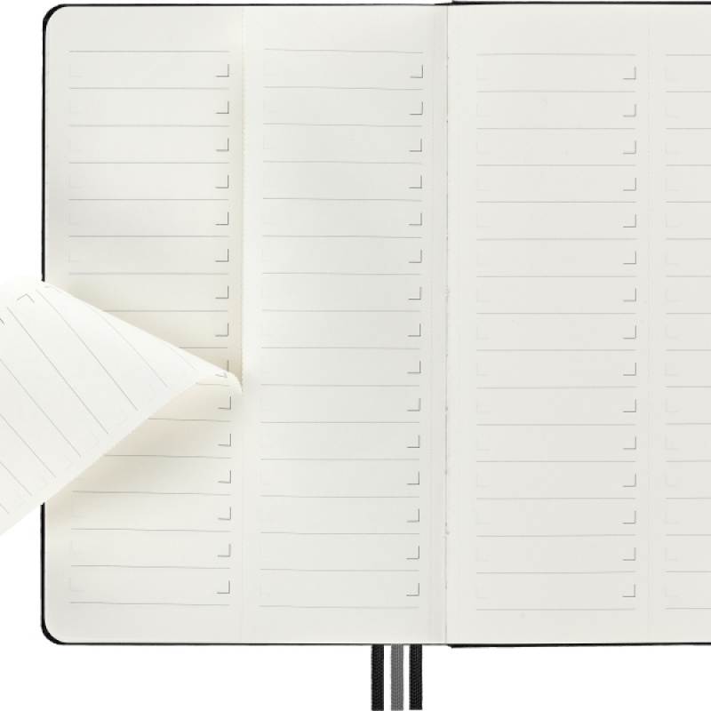 Notes MOLESKINE PRO Project Planner L (13x21 cm) twarda oprawa, czarny