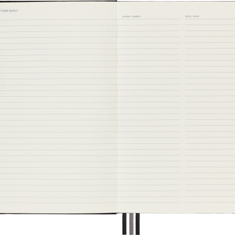 Notes MOLESKINE PRO Project Planner L (13x21 cm) twarda oprawa, czarny