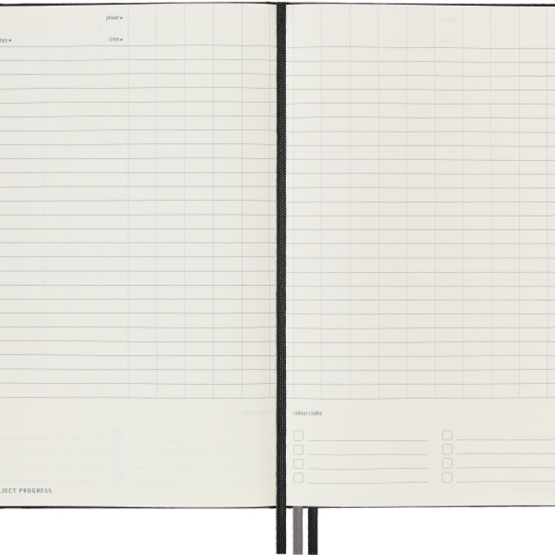 Notes MOLESKINE PRO Project Planner L (13x21 cm) twarda oprawa, czarny