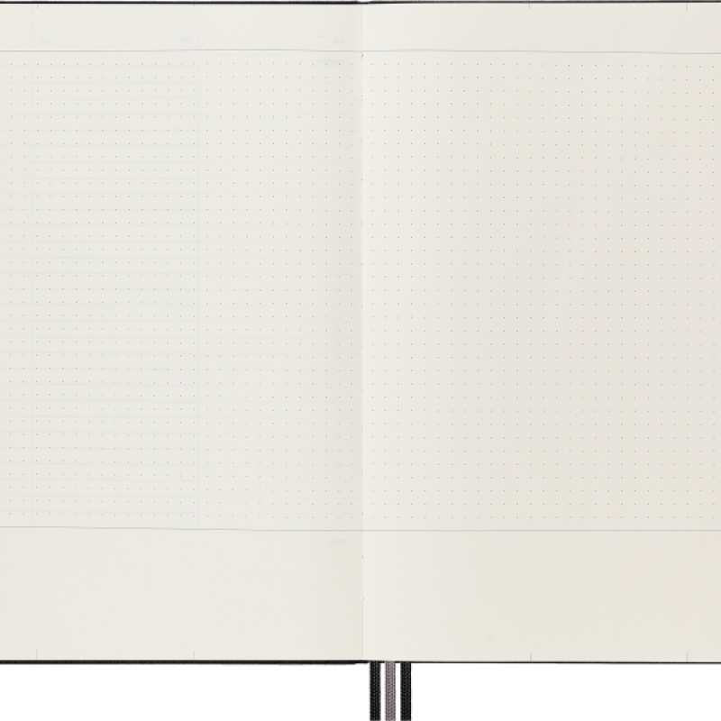 Notes MOLESKINE PRO Project Planner XL (19x25 cm) twarda oprawa, czarny