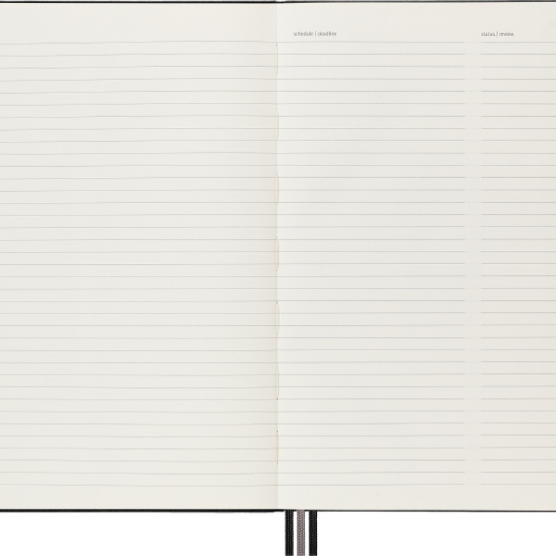 Notes MOLESKINE PRO Project Planner XL (19x25 cm) twarda oprawa, czarny