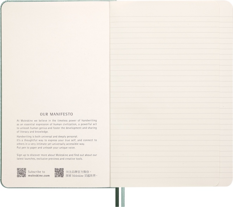 Notes MOLESKINE Snake 2025, L, synt. skóra węża, w linie, 13x21 cm, w pudełku, zielony