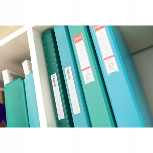 Album ofertowy COLOUR"ICE 60kieszeni ielony 626233 ESSELTE