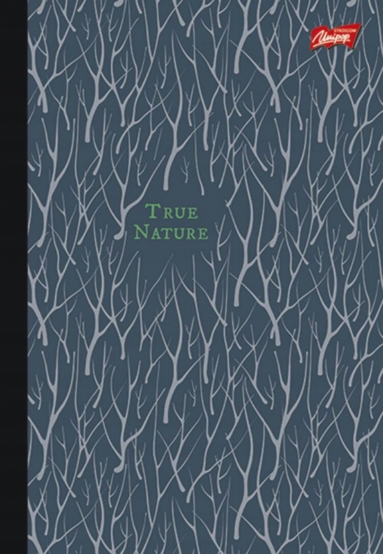 Brulion w półtwardej oprawie B5 160k. krata UNIPAP