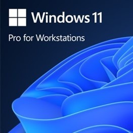 OEM Win Pro for Wrkstns 11 PL  x64     HZV-00117                Zastępuje: P/N HZV-00070