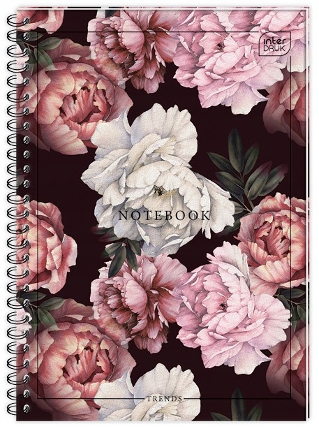 Kołobrulion A4 160k kratka z kolorowymi marginesami INTERDRUK