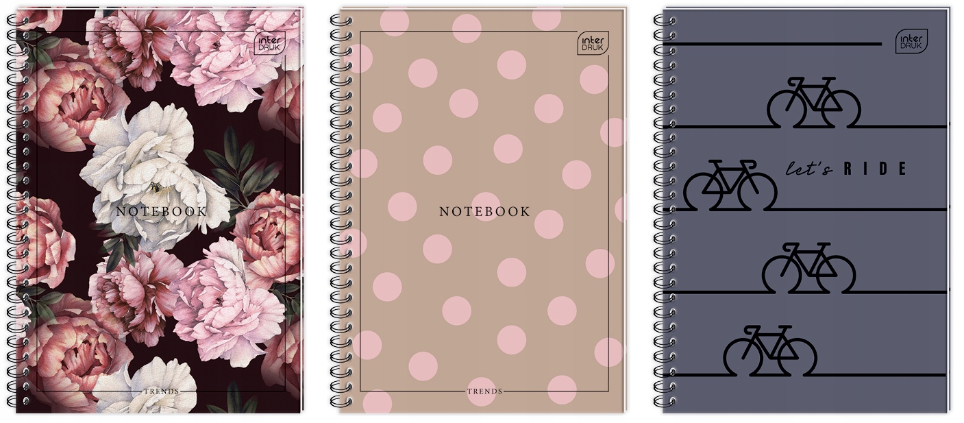 Kołobrulion A4 160k kratka z kolorowymi marginesami INTERDRUK