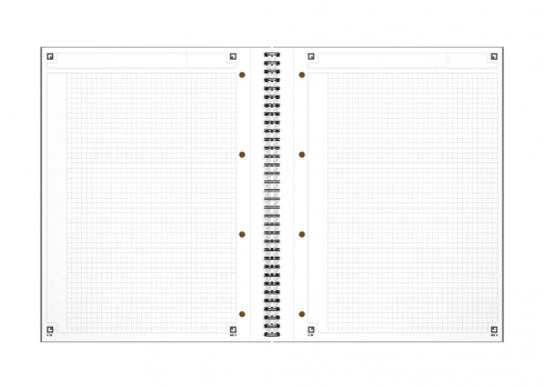 Kołobrulion NOTEBOOK A4+ 80K kratka OXFORD INTERNATIONAL 100103664