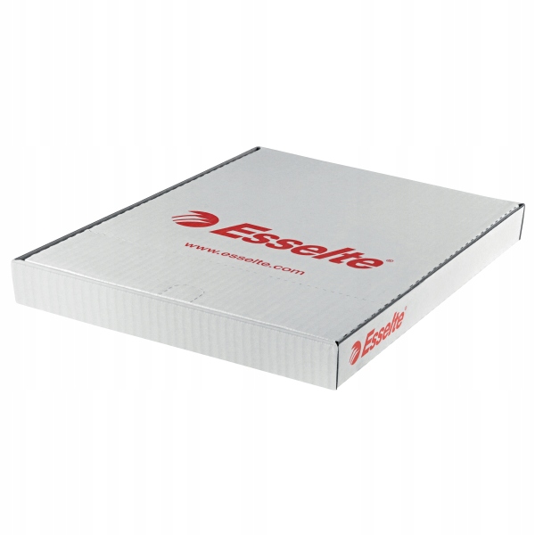 Koszulki krystaliczne A4 ESSELTE 55 mic. 56066 (100szt) 56066