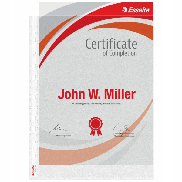 Koszulki ESSELTE A4 maxi 120 mic (25szt) 259760