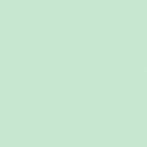 Papier xero A4 80g TROPHEE zieleń XCA41975 CLAIREFONTAINE