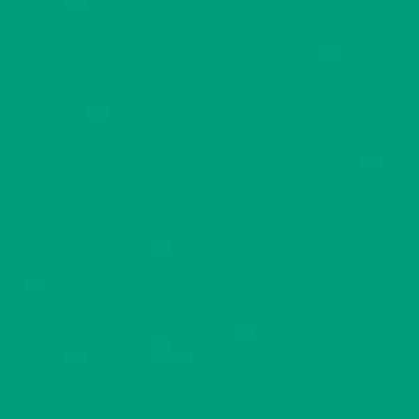 Papier xero A4 80g TROPHEE intesywna zieleń choinkowa XCA41783