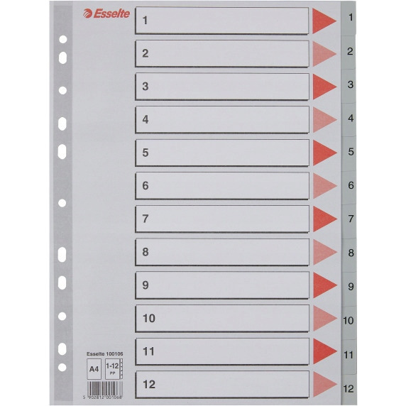 Przekładki plastikowe szare PP A4 1-12 100106 numeryczne ESSELTE