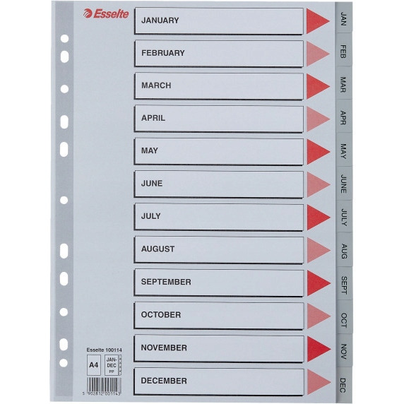 Przekładki plastikowe szare PP A4 12 miesięcy 100114 numeryczne ESSELTE