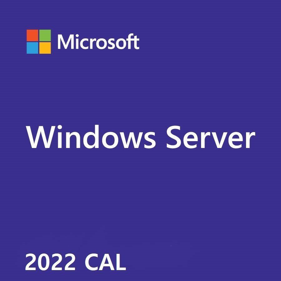 OEM Win Svr CAL 2022 ENG User 5Clt   R18-06466