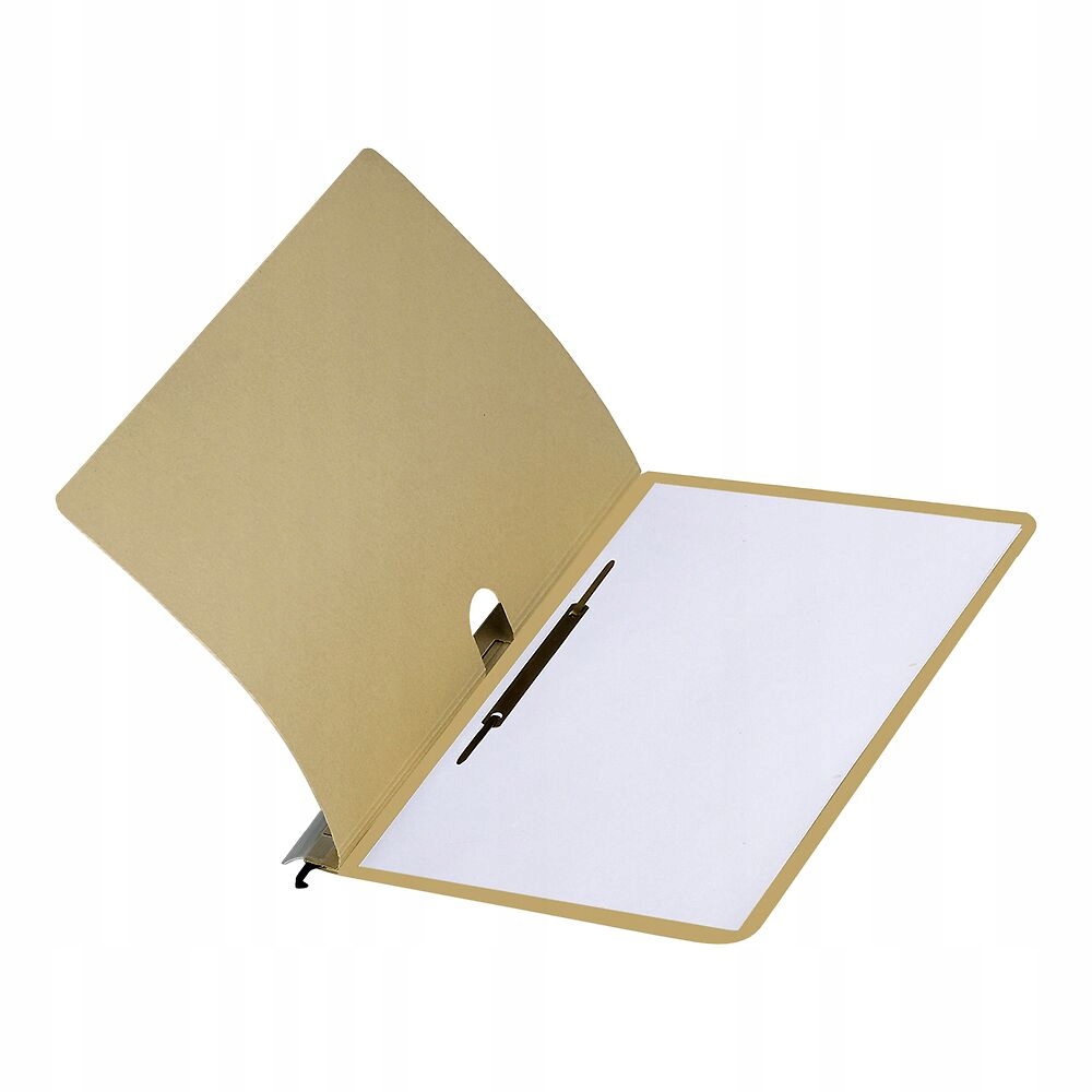 Skoroszyt wiszący ELBA ELBA VERTIC 1 100081039