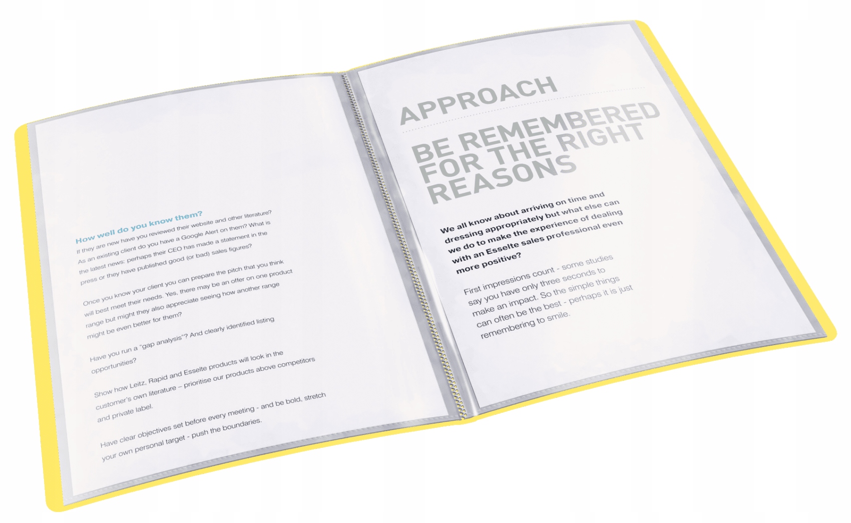 Album ofertowy VIVIDA A4 20kieszeni żółty 623995 ESSELTE