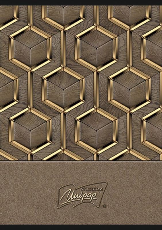 Zeszyt A5 96k linia L mix dziewczęcy