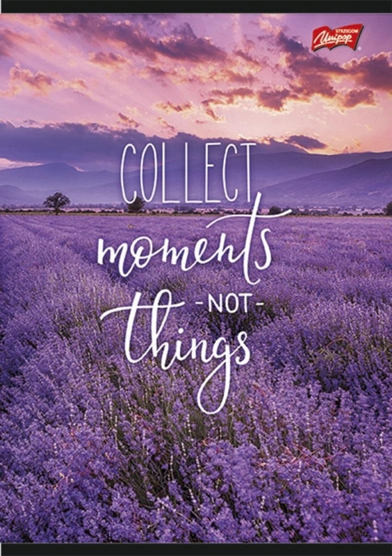 Zeszyt 80k. A4 kratka folia (10)