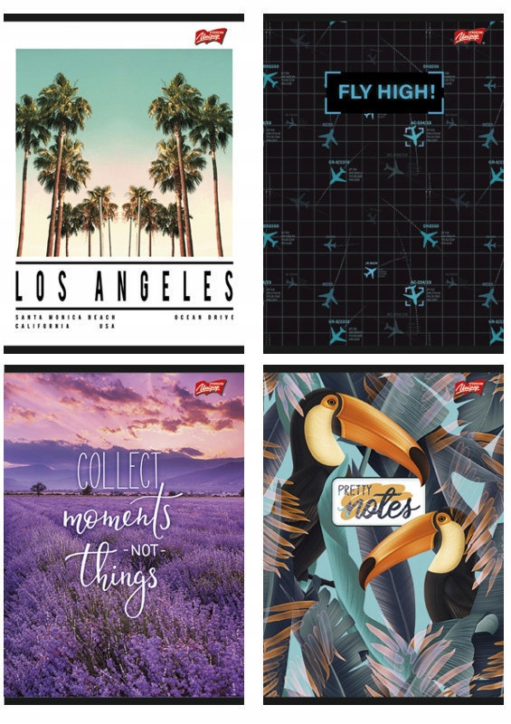 Zeszyt 80k. A4 kratka folia (10)