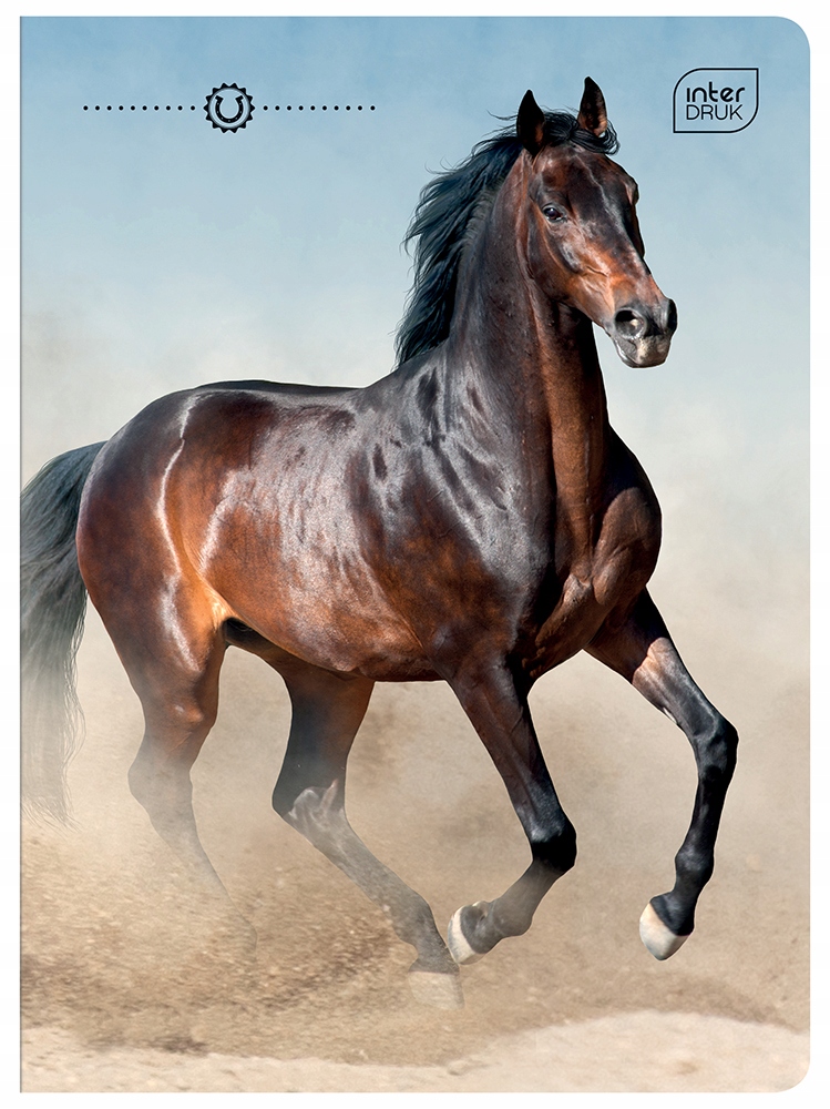 Zeszyt A5 16 kratka mix wzorów INTERDRUK