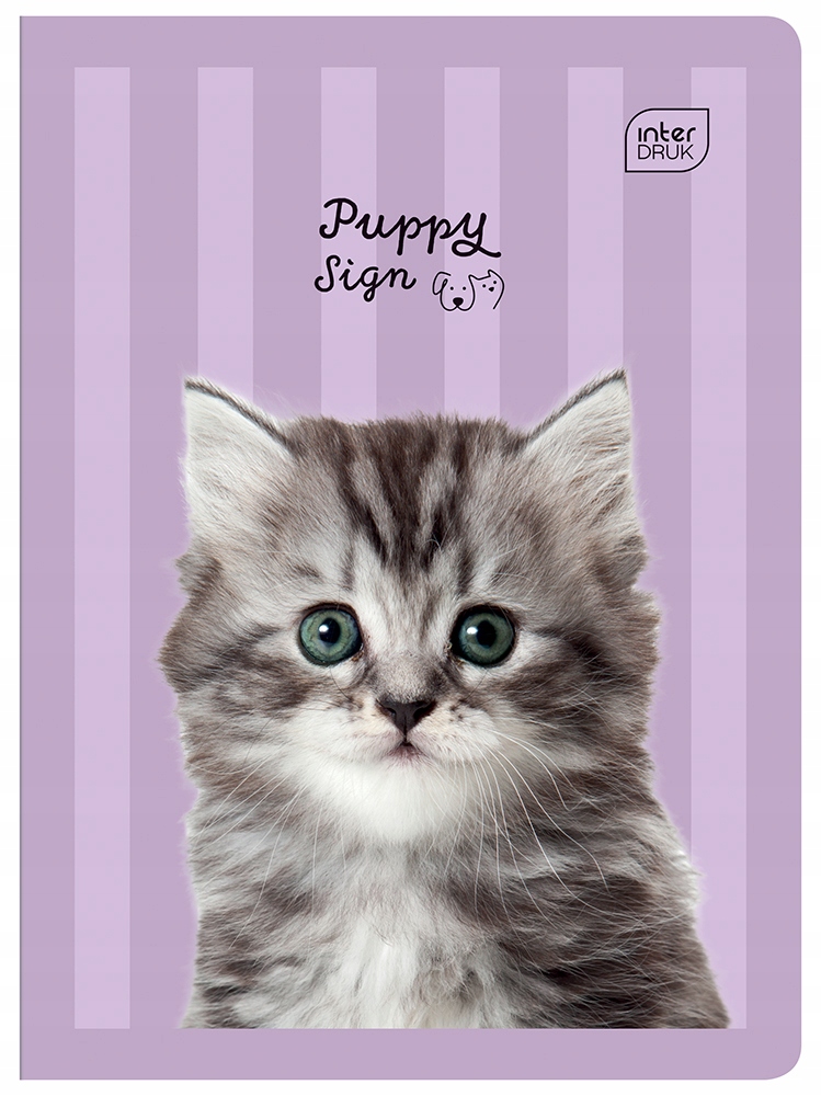 Zeszyt A5 16 kratka mix wzorów INTERDRUK