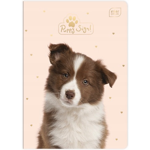 Zeszyt A5 16k 3-linia /202/204/205 INTERDRUK