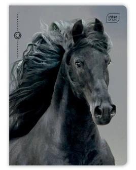 Zeszyt A5 32 linia mix wzorów INTERDRUK