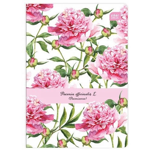 Zeszyt A5 80 linia INTERDRUK