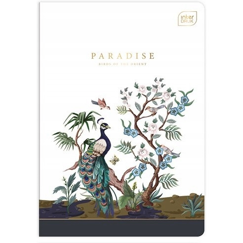 Zeszyt A5 96 linia INTERDRUK