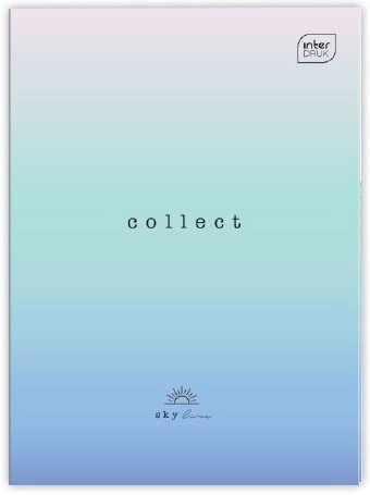 Zeszyt A4 96 kratka INTERDRUK